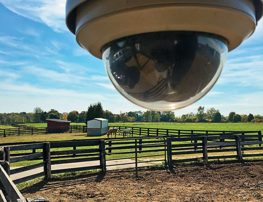 PTZ Camera